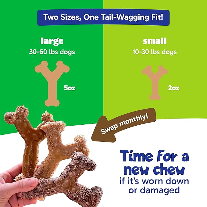 Chew'ems Durable Chew Toys for Small Dogs, Long-Lasting & Flavorful Chew Dog Toys, Small Dog Breeds | Beef-Flavored (Pack of 2)