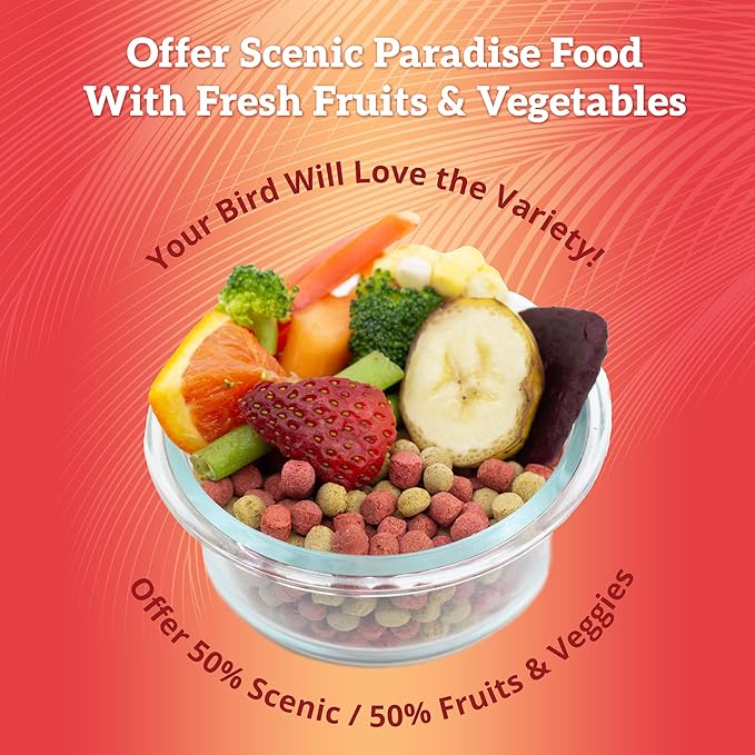 Scenic Apple Paradise Premium Parrot Food - Apple & Natural Flavors, High Protein, Low Iron Conure Bird Food, Eclectus & Other Small Pet Parrots, Omega 3, Vitamins & Minerals, 2 LB (Pack of 2)