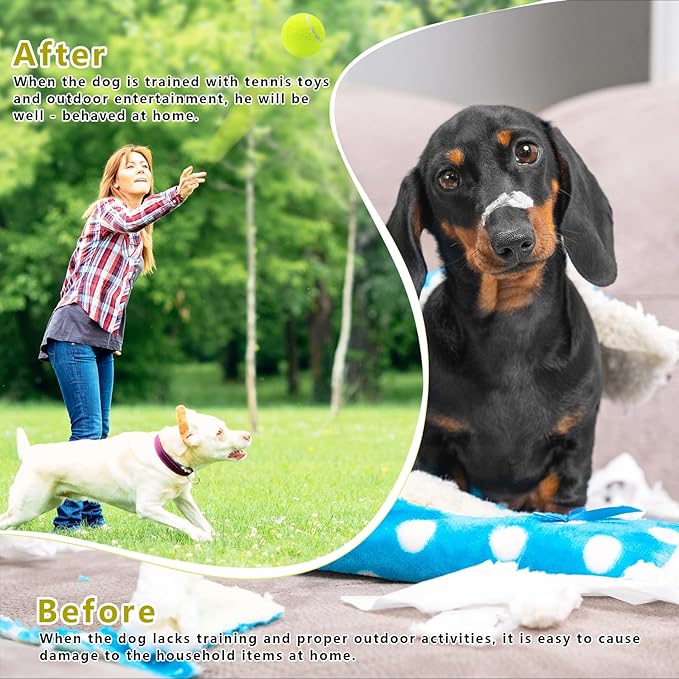 Magicorange Small Tennis Balls, 20 Pack 2 inch Tennis Balls for Dogs, Colorful Easy Catching Pet Dog Playing Ball with Mesh Bag for Easy Transport(Multicolor, 2 inch)