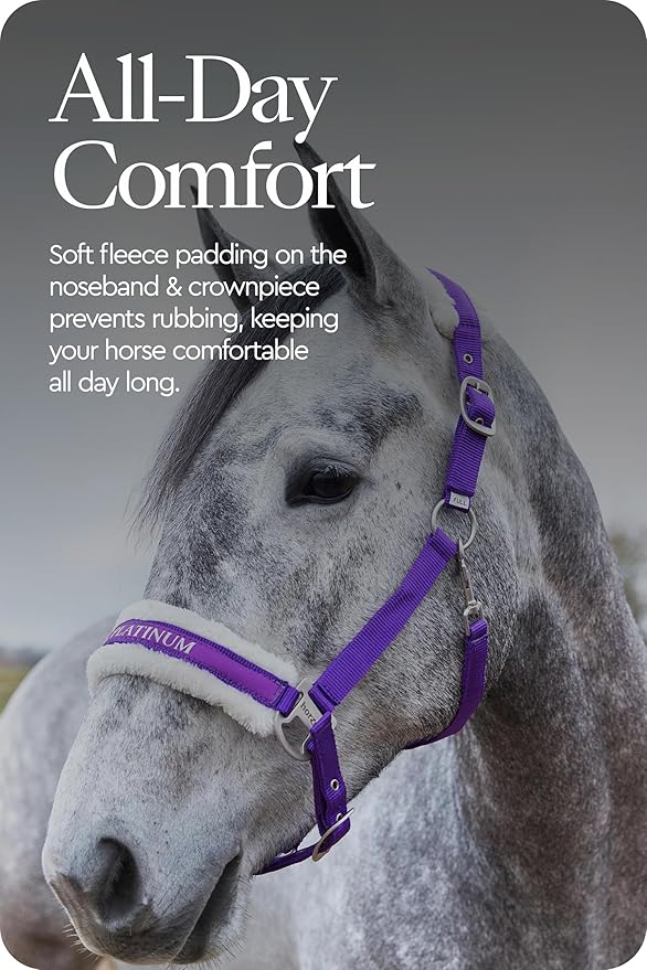 HORZE Howard Soft Fleece Padded Adjustable Polyester Horse Halter - Purple - Warmblood