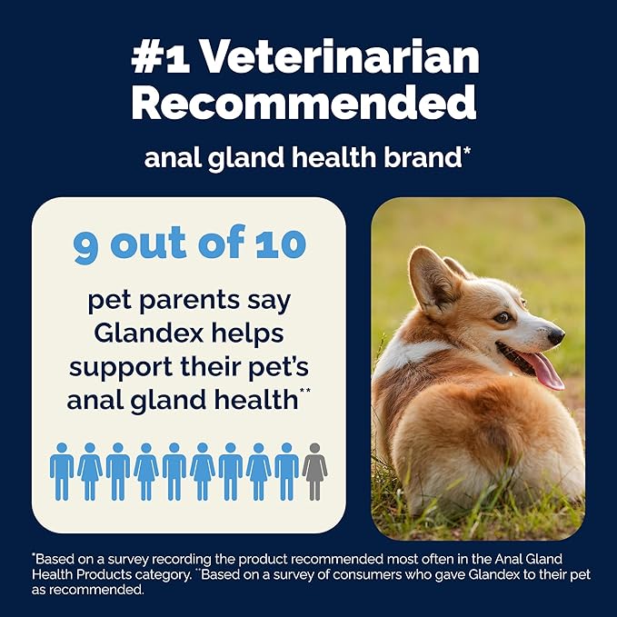 Vetnique Glandex Dog Fiber Supplement Powder for Anal Glands with Pumpkin, Digestive Enzymes & Probiotics - (Regular or Advanced Strength) - Boot The Scoot (8.5 oz, Advanced Strength Duck & Bacon)