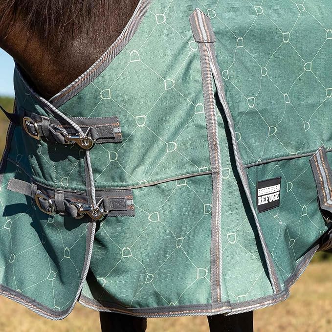 Jeffers Poplar Head 1200 Denier Turnout Sheet for Horses, 0g Polyfill, 87"- Waterproof Lightweight Horse Blanket, Adjustable Chest Belly Straps, Tail Flap, Stable Blanket - Spruce Stirrup Irons