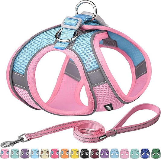 AIITLE Small Harness for Puppy with A Leash - Summer Dog Vest Harness with Super Breathable Mesh, Reflective No-Pull Pet Harness for Outdoor Walking, Camping for Small Dogs, Cats Pink XXS