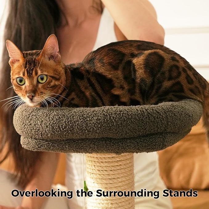 TINYBEAST 29.5" Tall Cat Scratching Post, 4-in-1 Natural Sisal Cat Scratcher with Removable Plush Perch Bed, Cat Stand Featuring Dangling Ball & Spring Ball, Cat Tree Tower for Indoor Adult Cats