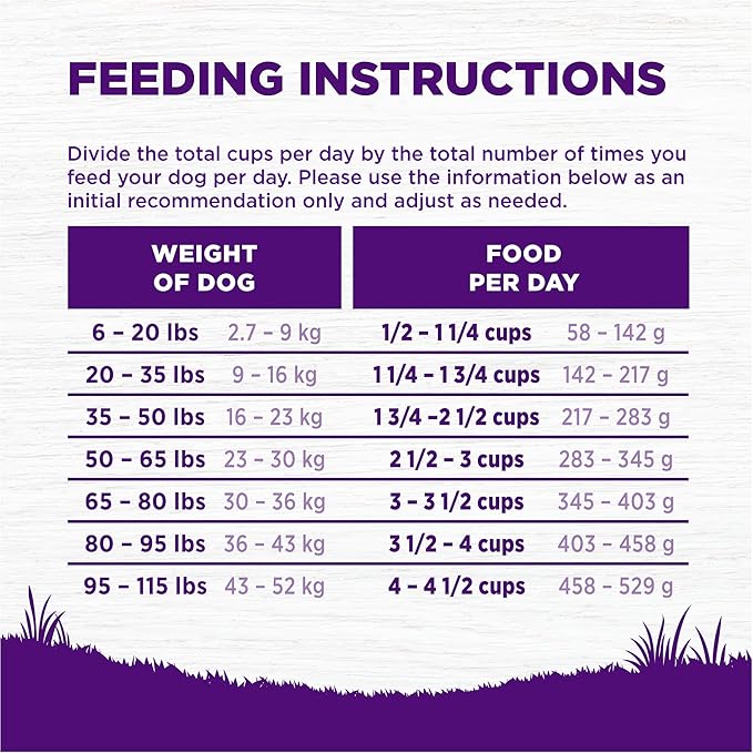 Wellness Complete Health Senior Dry Dog Food with Grains, Natural Ingredients, Made in USA with Real Meat, All Breeds (Chicken & Barley, 30-Pound Bag)