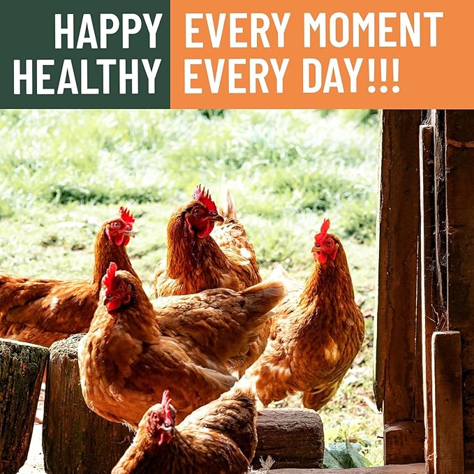 30LB Non-GMO Dried Black Soldier Fly Larvae for Chicken – 85X More Calcium Grubs Than Mealworms for Strong Eggshells & Healthy Growth - High Protein for Chickens, Birds, Ducks, Geese & Pets