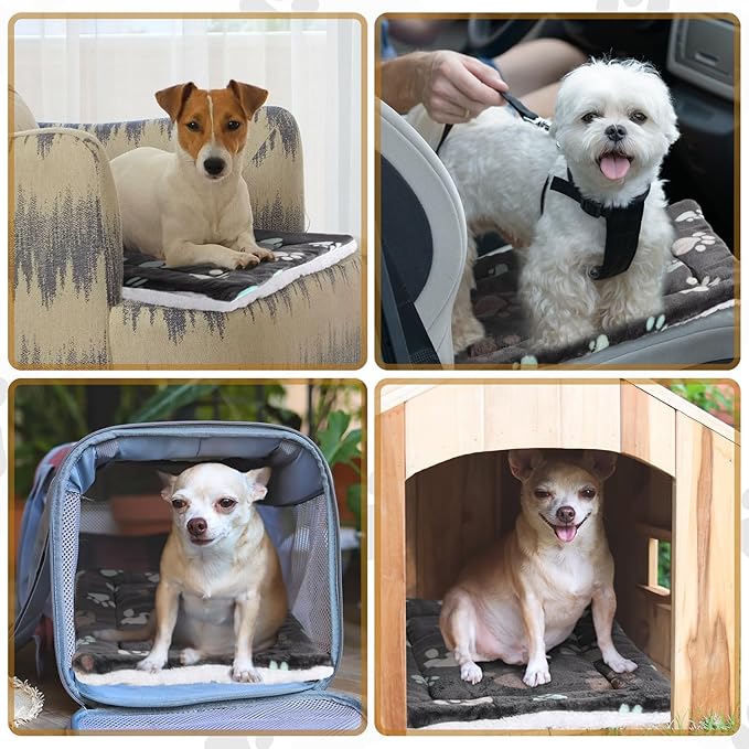 Tuanse 4 Pack Ultra Soft Dog Cat Bed Mat with Cute Prints Reversible Fleece Dog Crate Kennel Pad Cozy Washable Thickened Hamster Guinea Pig Pet Bed Mat for Small Animals(13 x 19 Inches,Black)