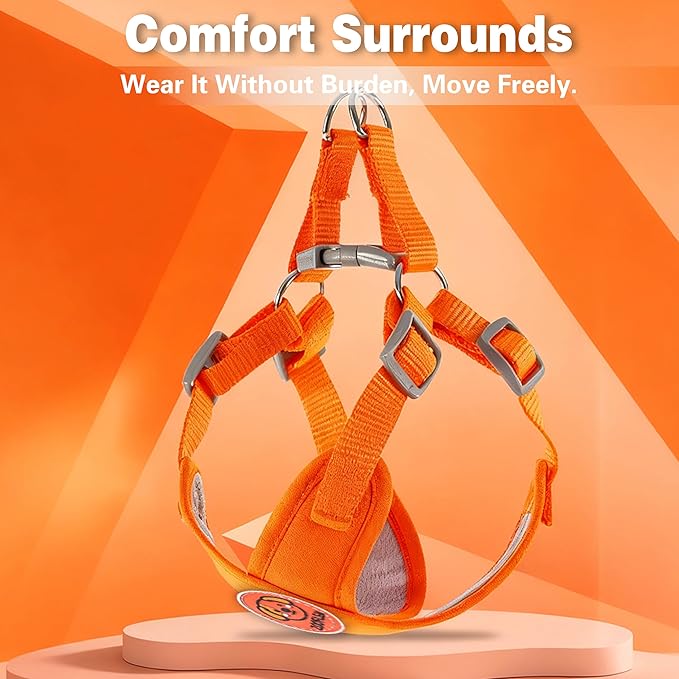 Dog Harness with Leash Set, Puppy Soft Vest No Choke No Pull, Adjustable Neck and Chest, Lightweight Harness and Anti-Twist Pet Leash Combo for Small to Medium Dogs (Orange, L-Large)