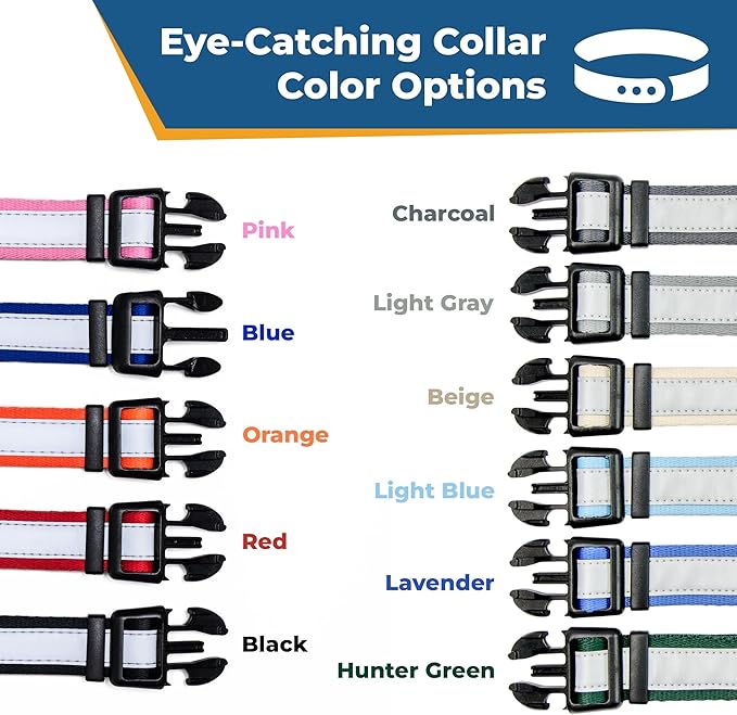 GoTags Reflective Personalized Dog Collar with Nameplate, Adjustable Dog Collar with Custom Engraved Steel Slide On Pet ID Tag, Silent, No Noise Dog Tag for Large Medium or Small (Orange, Large)