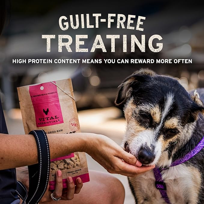 Vital Essentials Salmon Bites Dog Treats, 2.5 oz | Freeze-Dried Raw | Single Protein | Premium Quality High Protein Training Treats | Grain Free, Gluten Free, Filler Free