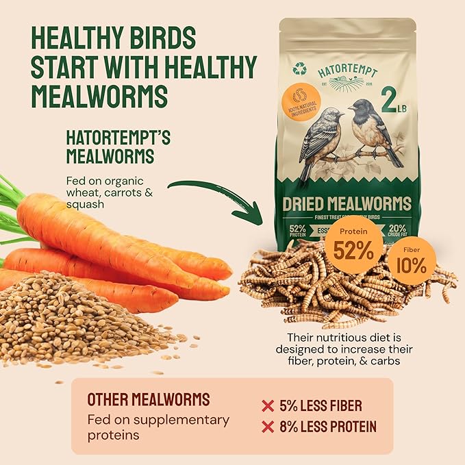 Hatortempt Dried Mealworms - 2 Lb Bag - High Protein Chicken Feed, Mealworms for Birds & Chickens - Meal Worms for Wild Birds & Turtles