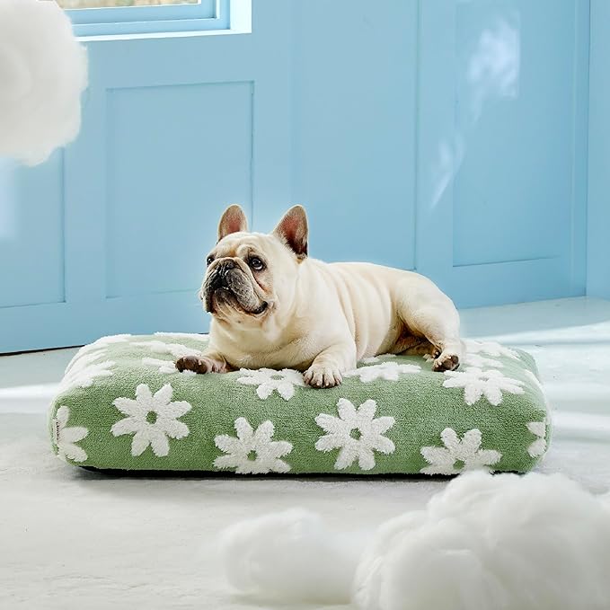 LE SURE Dog Beds Medium Size-Thick Shredded Chopped Foam Pet Bed Indoor with Removable Cover, Cute Modern Fuzzy Plush & Anti Slip Bottom, Green