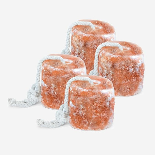 RESISTANCE Himalayan Salt Lick 2lb Block on Rope for Horses, Cattle, Deer, Goats, and Livestock – Pack of 4 Blocks