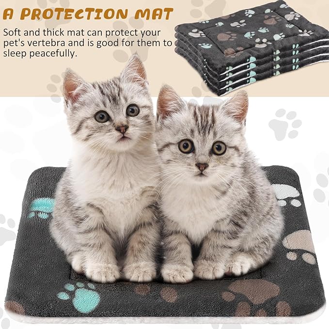 Tuanse 4 Pack Ultra Soft Dog Cat Bed Mat with Cute Prints Reversible Fleece Dog Crate Kennel Pad Cozy Washable Thickened Hamster Guinea Pig Pet Bed Mat for Small Animals(13 x 19 Inches,Black)