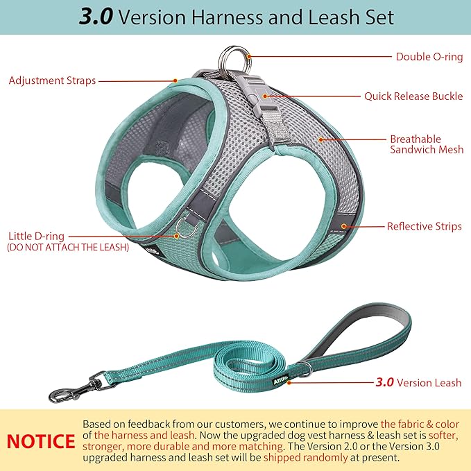 AIITLE Dog Harness, Summer No-Pull Cat Harness with a Leash, Adjustable Reflective Dog Vest, Cat Harness Escape Proof, Outdoor Walking, Camping for Extra Small Dogs and House Cats Turquoise XXXS