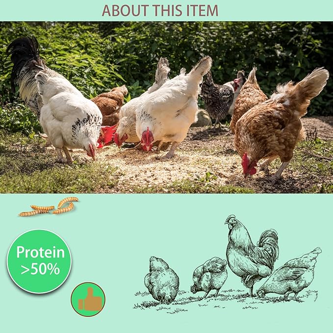 Dried Mealworms 2LB-High Protein Chicken Feed,More Protein,No Additives,Premium Organic Non-GMO,Rich in Protein Meal Worms for Chickens,Wild Birds,Laying Hens,Turkeys-Nutrient-Rich Mealworms