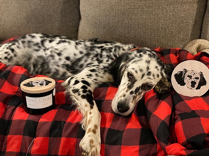 Sand + Paws Scented Candle - Ocean & Sea Salt - Additional Scents and Sizes –Luxurious Air Freshening Jar Candles Neutralize pet Odors and Enhance Home décor – 100% Cotton Lead-Free Wicks - 12 oz