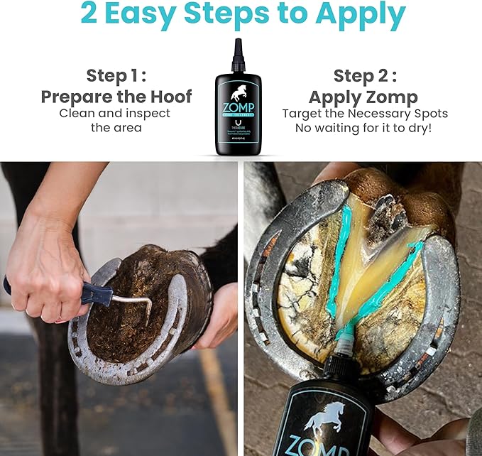 Zomp Liquid Hoof Thrush and White Line Treatment for Horses: Effective for Thrush Relief and Prevention on All Hooved Animals