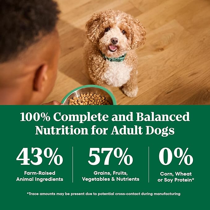 Nutro Natural Choice Chicken & Brown Rice Adult Small Bites Dog Food Recipe, 13 lb. Bag