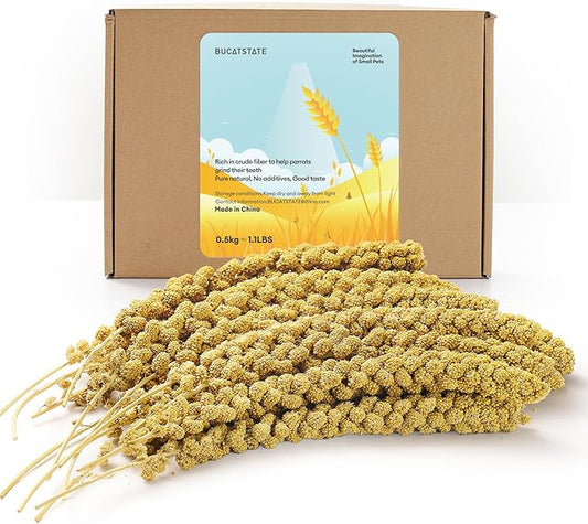 BUCATSTATE Spray Millet for Birds, Sun-Dried Healthy Millet Parakeet Treats for Parrots Cockatiel Lovebird Finch, GMO-Free Parakeet Food - 1.1lb