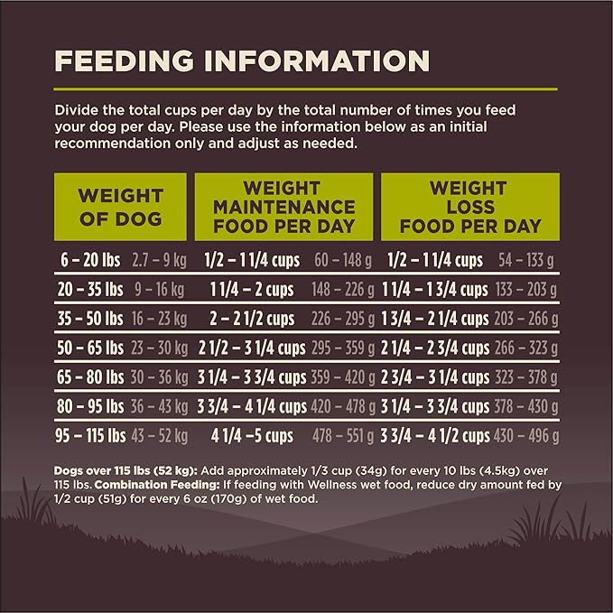 Wellness CORE Dry Dog Food, Grain-Free, High Protein, Natural, Healthy Weight Turkey & Chicken Recipe, (4-Pound Bag)