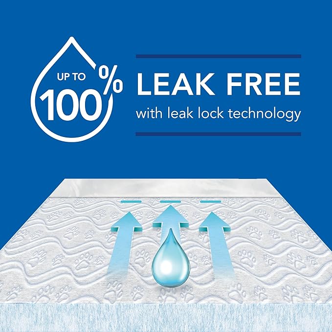 Scott Pet Guard Dog Pads - Size Large - 22" x 22" - 100 Pack