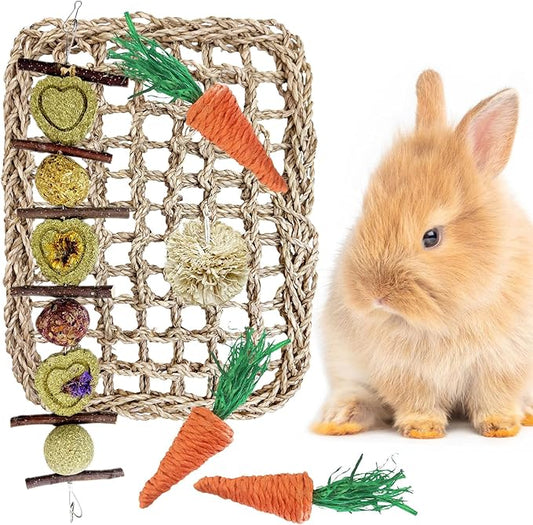 Hamiledyi Rabbit Seagrass Activity Mat Bunny Toy Hanging Rabbit Chew Toys for Teeth Bunny Enrichment Toys Seagrass Protector Mat Small Animal Toys for Chinchilla Guinea Pigs Hamsters Rats Rodent