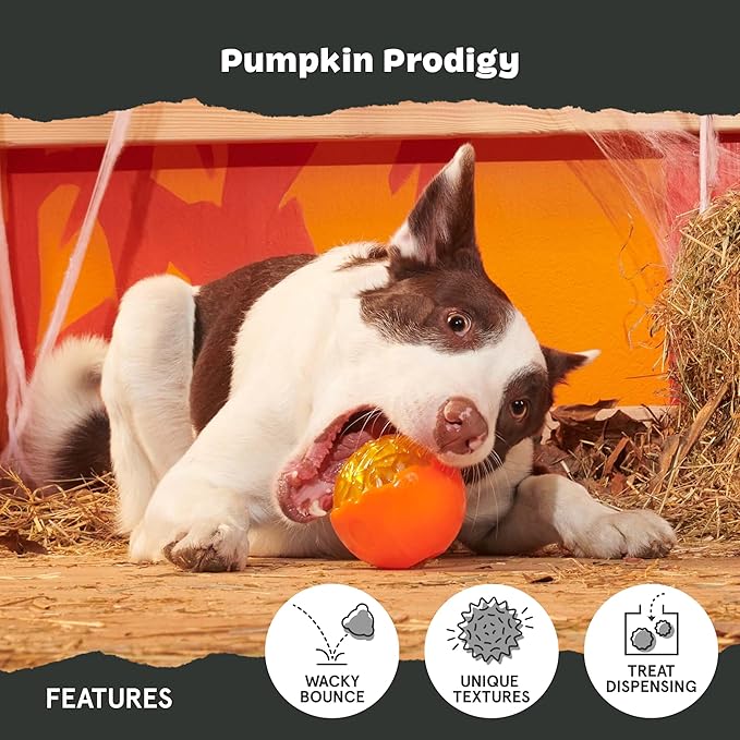 Barkbox Pumpkin Prodigy Dog Toy | Halloween Treat-Dispensing Rubber Dog Toy for Aggressive Chewers | Durable Dog Chew Toy for Medium Dogs & Puppy Essentials