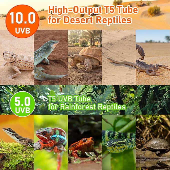 T5 10.0 UVB Light Fixture for Bearded Dragon, T5 UVA UVB HO Reptile Light Tube Lamp Blub 24W 22" for Tortoise,Desert Lizards,Leopard Gecko,Reptile & Amphibian Lamp