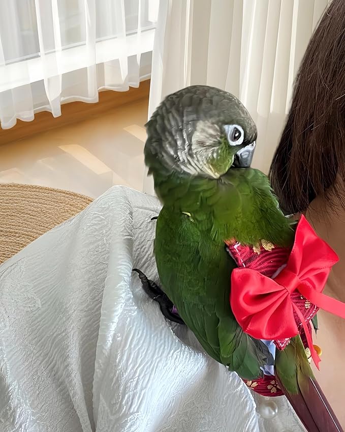 2Pcs Bird Diapers Bird Harness Flight Suits Diapers with 80in Flying Leash Parrot Nappy with Waterproof Inner Layer for Cockatiel Budgie Conure Parakeet Lovebird-Red&Dark Blue Sakura