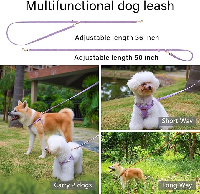 CHEDE No Pull Puppy Harness and Multifunction Dog Leash Set- 8 Colors Soft Adjustable No Choke Escape Proof Cute,Lightweight Pet Vest Harness for Small and Medium Dog (M, Purple)