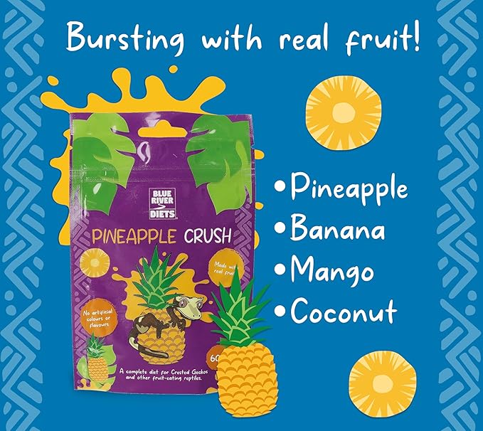 Crested Gecko Diet | Pineapple Crush | All Natural Low Fat Complete Gecko Food | 2.1oz