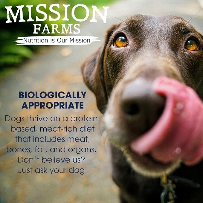 Mission Farms Freeze-Dried Raw Dog Food Chicken & Pumpkin Complete & Balanced for All Life Stages, 14oz