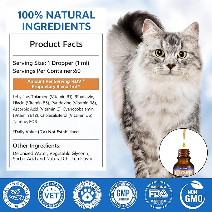L-lysine Supplement for Cats, Immune Support for Cats, Support for Feline Respiratory, Sneezing, Runny Nose, Eye Function, Helps Strengthen Natural Defenses, Chicken Flavor, 60 ml/2 Fl Oz