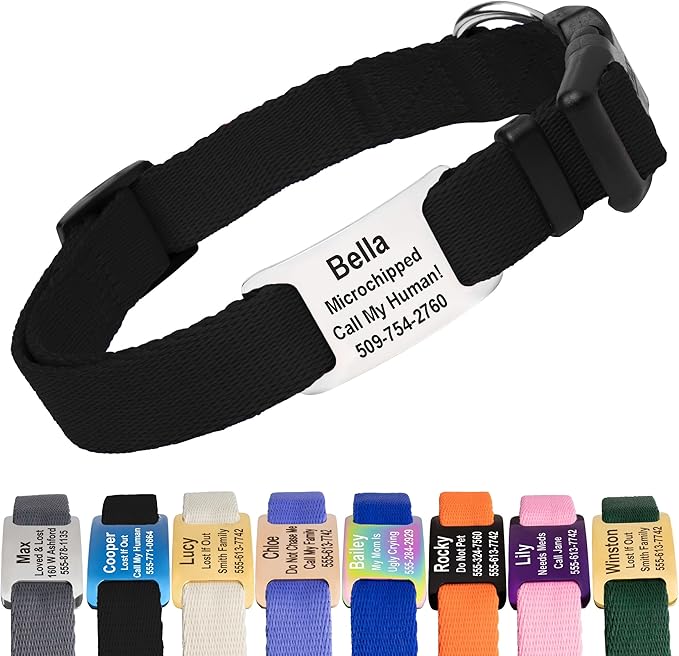 GoTags Personalized Dog Collar with Nameplate, Adjustable Dog Collar with Custom Engraved Slide On Pet ID Tag in Stainless Steel, Silent, No Noise Dog Tag for Large Medium and Small (Black, Small)