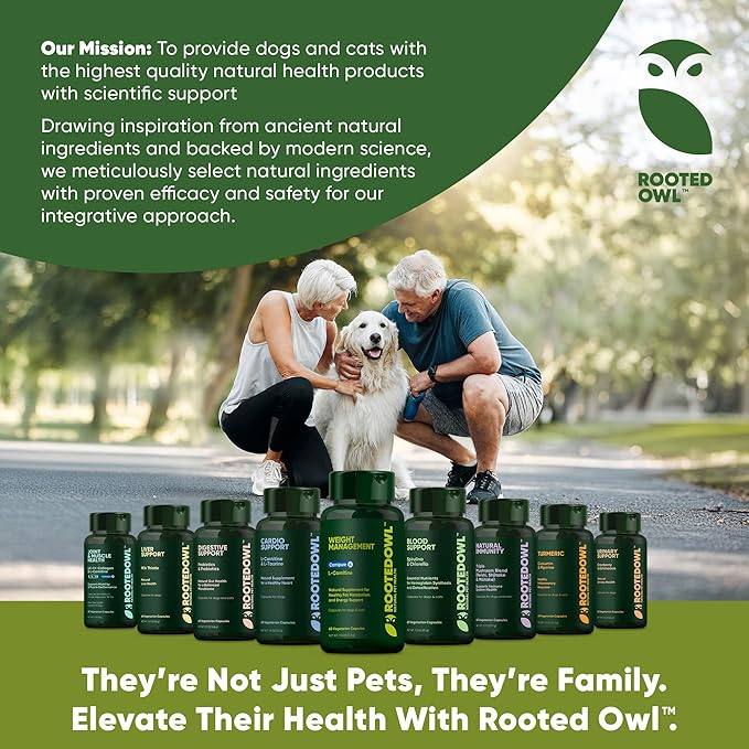 Rooted Owl Metabolism Support - L-Carnitine Supplement for Dogs and Cats to Support Healthy Weight - Dog and Cat Supplement - 60/ct