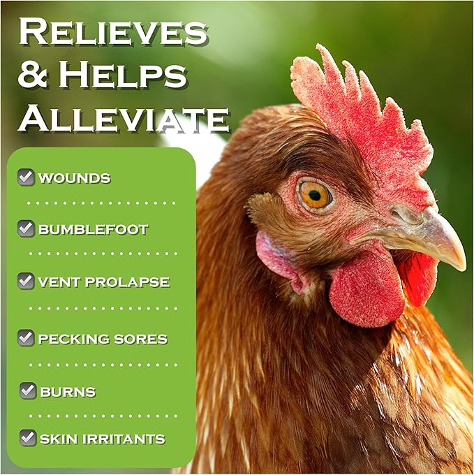 Chicken's Choice Wound Care for Chickens & Birds. Advanced Wound Care Spray for Poultry. Works for Bumblefoot, Vent Prolapse, Pecking Sore, Burns & Skin Irritations. 8 oz Ready to Use Spray