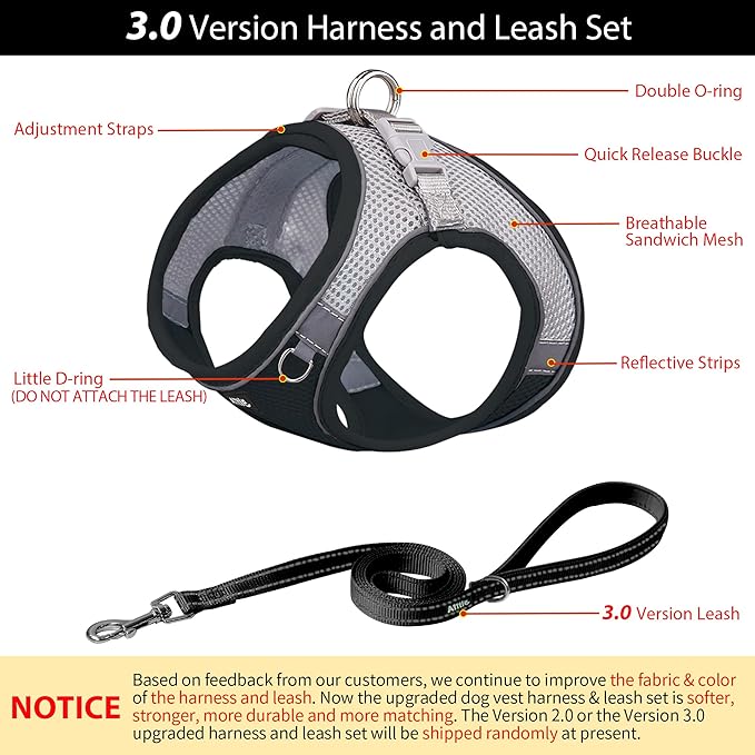AIITLE Small Harness for Puppy with A Leash - Summer Dog Vest Harness with Super Breathable Mesh, Reflective No-Pull Pet Harness for Outdoor Walking, Camping for Small Dogs, Cats Black XXS