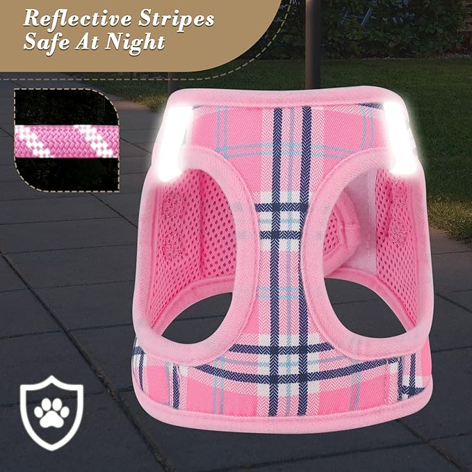 Athena Collection Small Dog Harness with 5 ft Leash, Step-in Dog Harness Leash Set Small No Pull Dog Vest Harness with Reflective Strips Adjustable Velcro, Easy Walk Puppy Harness, Pink
