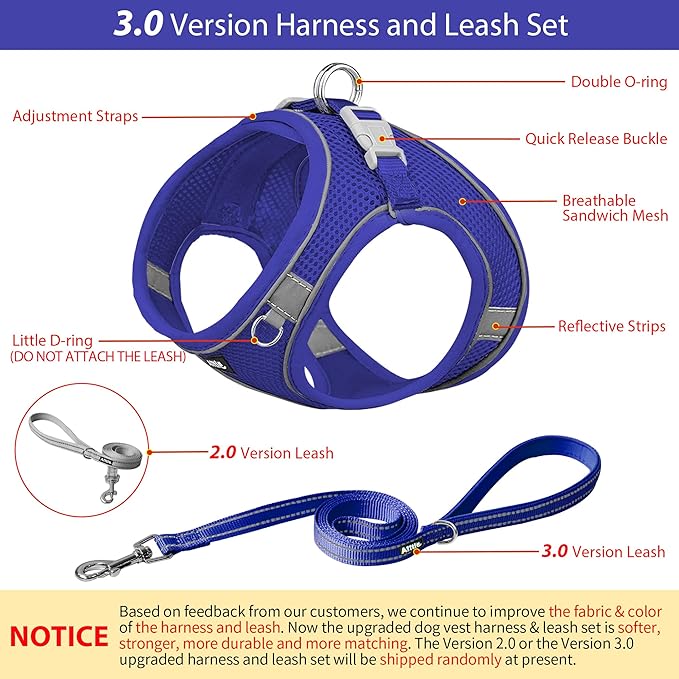 AIITLE Small Harness for Puppy with A Leash - Summer Dog Vest Harness with Super Breathable Mesh, Reflective No-Pull Pet Harness for Outdoor Walking, Camping for Small Dogs, Cats Royal Blue XXS