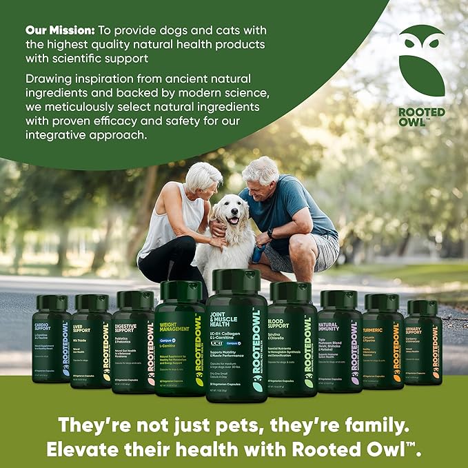Rooted Owl Turmeric - Turmeric Supplement for Dogs and Cats - with Curcumin, Piperine and Vitamin C for Anti-Inflammatory Relief - 60/ct