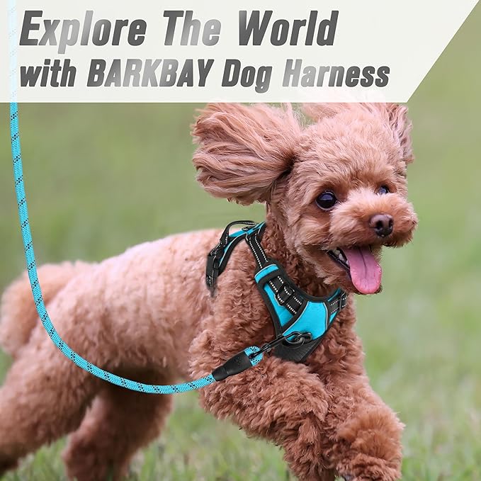 BARKBAY No Pull Dog Harness Front Clip Heavy Duty Reflective Easy Control Handle for Large Dog Walking(Blue,XS)