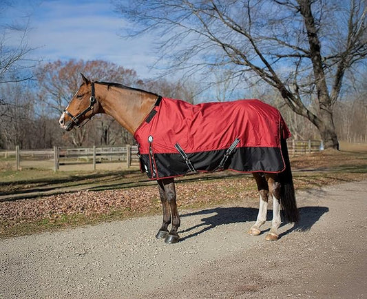 Equinavia Norse Lightweight 100g Fill Horse Rain Blanket | Waterproof Turnout Sheet - Black - 66 in - Equestrian Red - 66 in