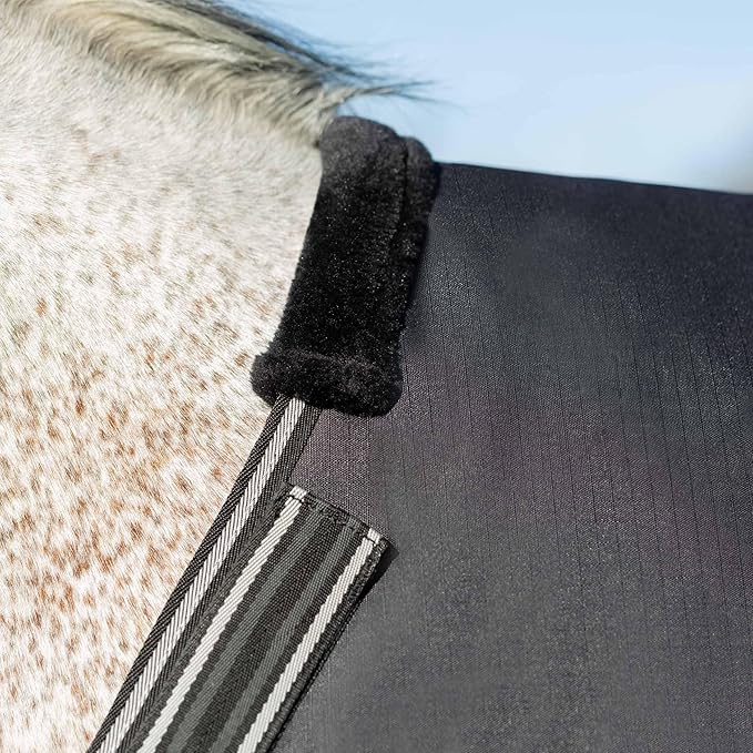 Equinavia Norse No Fill Horse Rain Blanket (0g) | Waterproof Lightweight Turnout Sheet - Black - 66 in - Black - 75 in