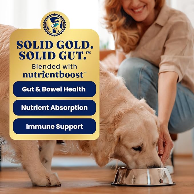 Solid Gold Wet Dog Food Topper & Meal Cups - for Adult & Senior Small Breed & Large Breed Dogs - W/Salmon, Chicken & Superfoods for Sensitive Stomachs, Gut Health & Skin & Coat Support - 3.5oz/6 Pack