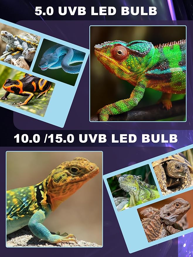 LED UVB Light for Reptiles, 5W 5.0 LED UVA UVB Lamp, Reptile UVB Bulb for Bearded Dragon Lizard Gecko Snake Turtle, Provide Sufficient UVB Exposure Tropical & Desert Reptiles