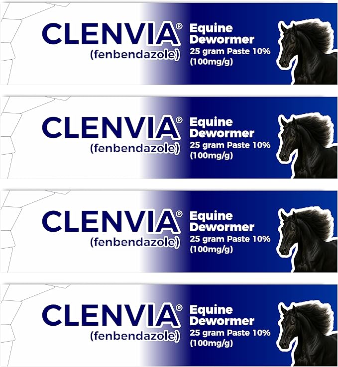 Horse Paste 10% – 4 Pack – 25g Syringes – Oral Deworming Paste for Horses of All Ages – Easy-to-Administer Equine Care