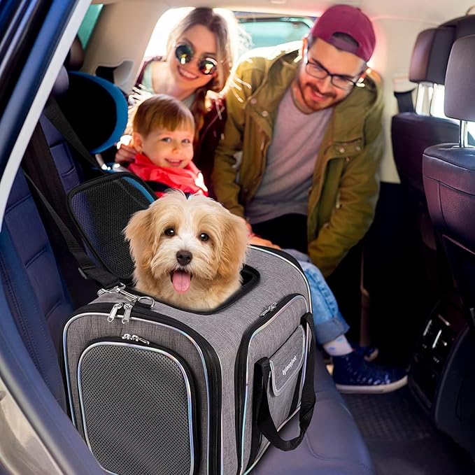 Airline Approved Cat Carrier Under Seat, 4-Way Expandable & Collapsible Soft-Sided Pet Carrier with Removable Fleece Pad - TSA Compliant for Cats, 18x11x11.5in Car & Plane Travel, Vet Visits