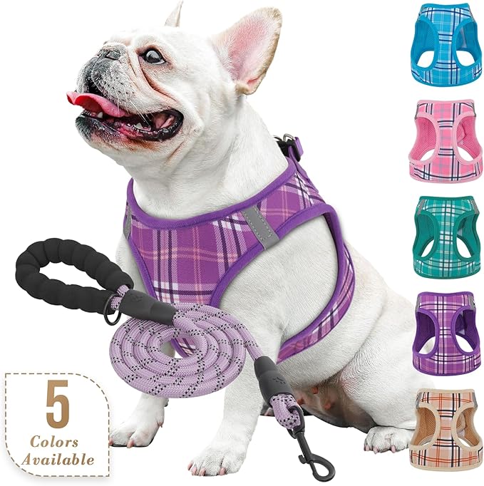 Athena Collection Step-in Dog Harness with 5 ft Leash, Medium Dog Harness Leash Set Large No Pull Dog Vest Harness with Reflective Strips Adjustable Velcro, Easy Walk Dog Harness, Purple