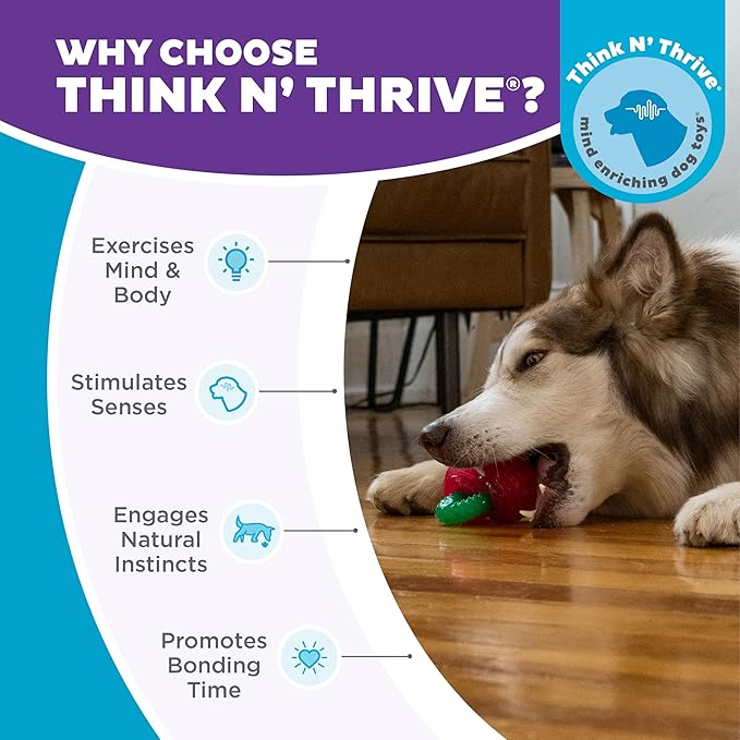 Outward Hound Gummiez Cherries 2-in-1 Dental Dog Chew Toy and Dog Treat Stuffer Game, Cherry Scent, Red
